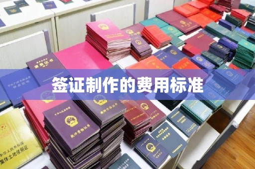 松江签证制作的费用标准